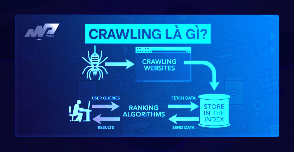Google Crawling là gì? Cách hoạt động và các lỗi thường gặp